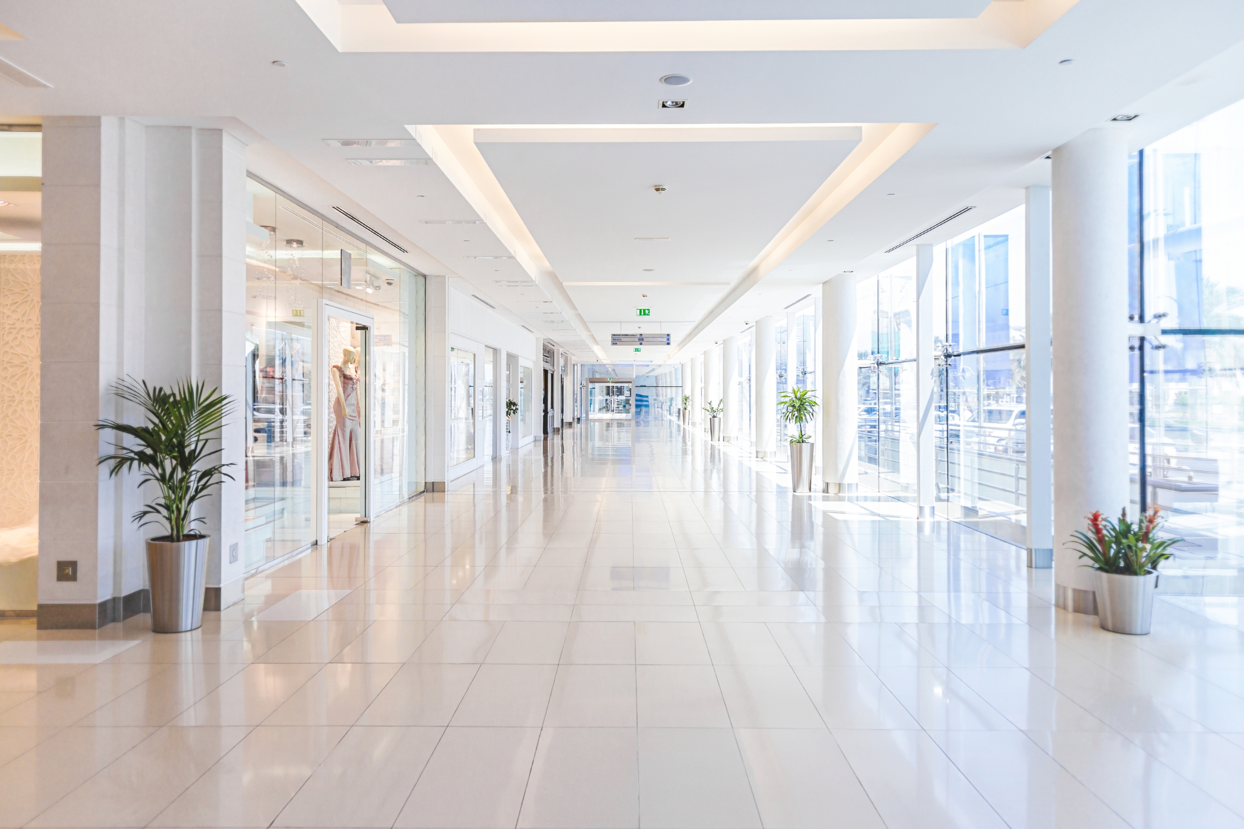 Are Online Shops Really Replacing Physical Stores? A Balanced Look at How Digital Retail Is Reshaping, Not Destroying, the Mall Experience